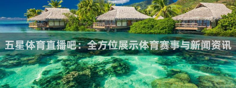 五星体育直播吧：全方位展示体育赛事与新闻资讯