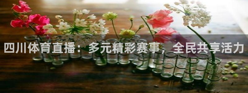 四川体育直播：多元精彩赛事，全民共享活力